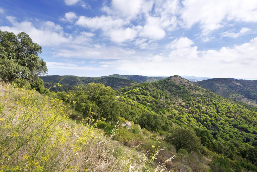 Merce Pineda de Mar Εξωτερικό φωτογραφία